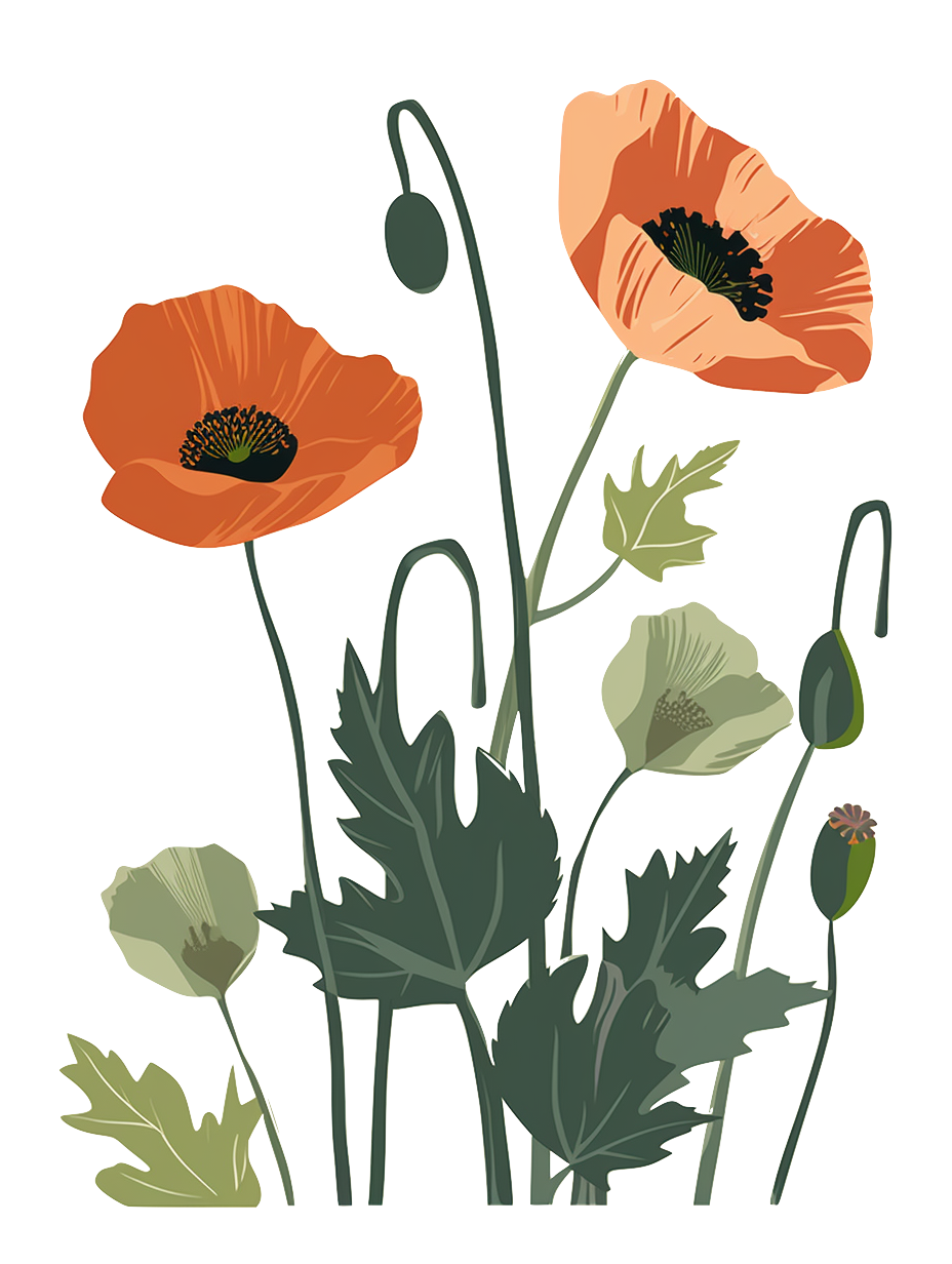 Poppies